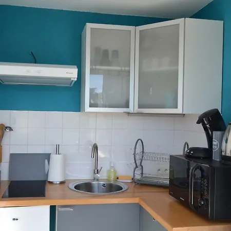 アパート Le Petit Studieux - Parking - Animaux Acceptes - Centre Accessible A Pied *