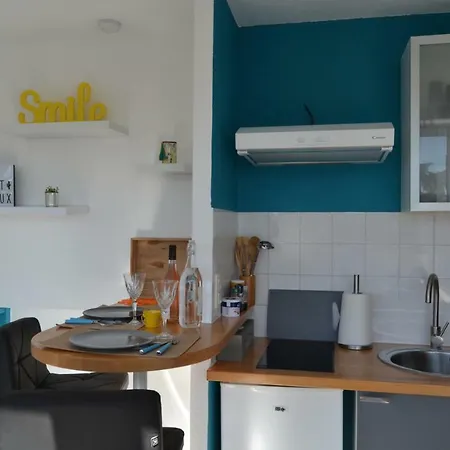 アパート Le Petit Studieux - Parking - Animaux Acceptes - Centre Accessible A Pied *