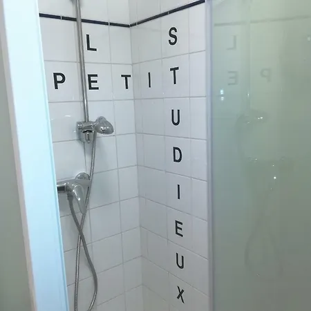 Le Petit Studieux - Parking - Animaux Acceptes - Centre Accessible A Pied Lejlighed Albi