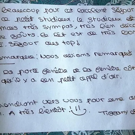 Le Petit Studieux - Parking - Animaux Acceptes - Centre Accessible A Pied アパート