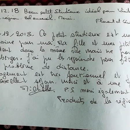 Le Petit Studieux - Parking - Animaux Acceptes - Centre Accessible A Pied アパート アルビ