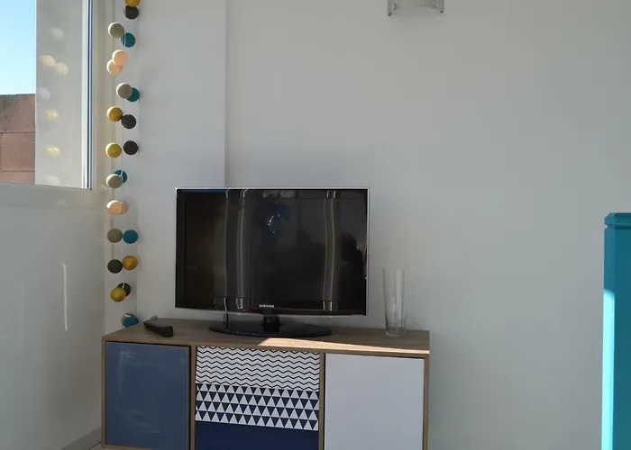 Le Petit Studieux - Parking - Animaux Acceptes - Centre Accessible A Pied Apartment