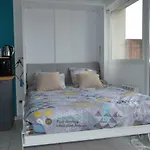 Le Petit Studieux - Parking - Animaux Acceptes - Centre Accessible A Pied Apartment Albi