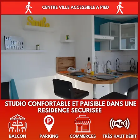 Le Petit Studieux - Parking - Animaux Acceptes - Centre Accessible A Pied Apartment