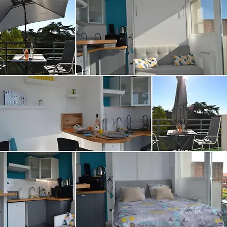 Le Petit Studieux - Parking - Animaux Acceptes - Centre Accessible A Pied 아파트 알비
