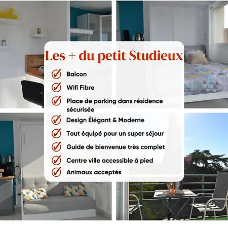 Le Petit Studieux - Parking - Animaux Acceptés - Centre Accessible à Pied * Albi
