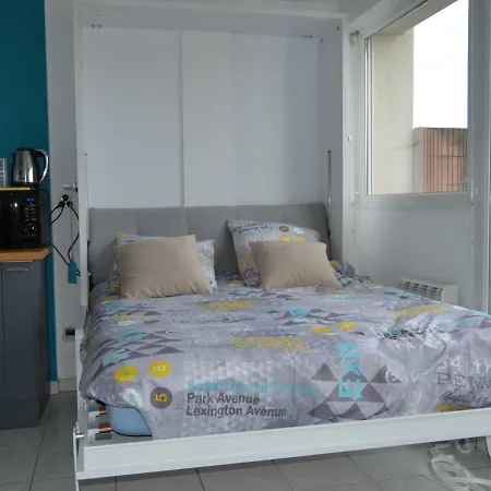 Le Petit Studieux - Parking - Animaux Acceptes - Centre Accessible A Pied 아파트 알비