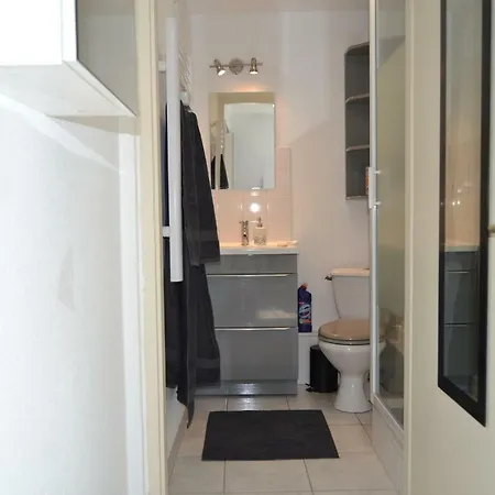 Le Petit Studieux - Parking - Animaux Acceptes - Centre Accessible A Pied * 알비