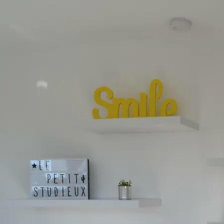 Le Petit Studieux - Parking - Animaux Acceptes - Centre Accessible A Pied