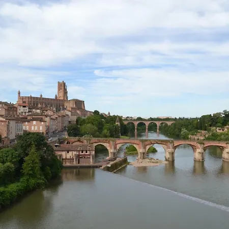 Le Petit Studieux - Parking - Animaux Acceptes - Centre Accessible A Pied * 알비
