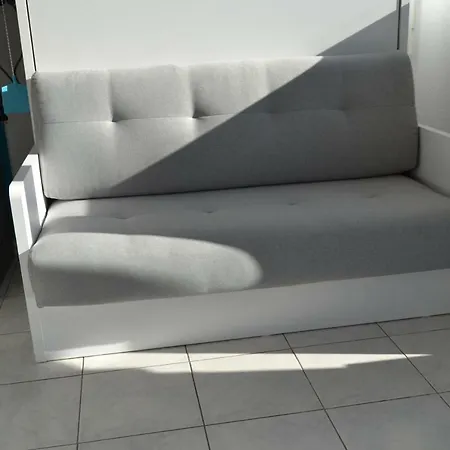 Le Petit Studieux - Parking - Animaux Acceptes - Centre Accessible A Pied * 알비