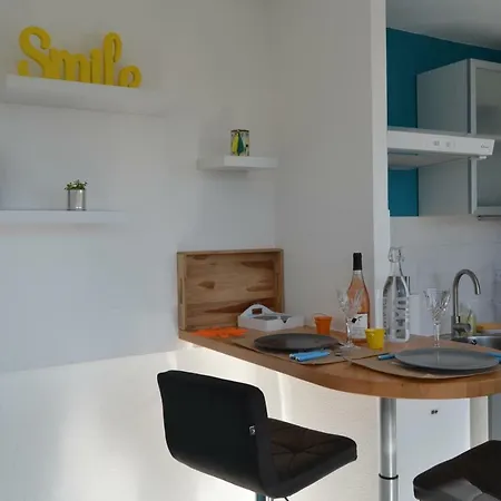 아파트 Le Petit Studieux - Parking - Animaux Acceptes - Centre Accessible A Pied *