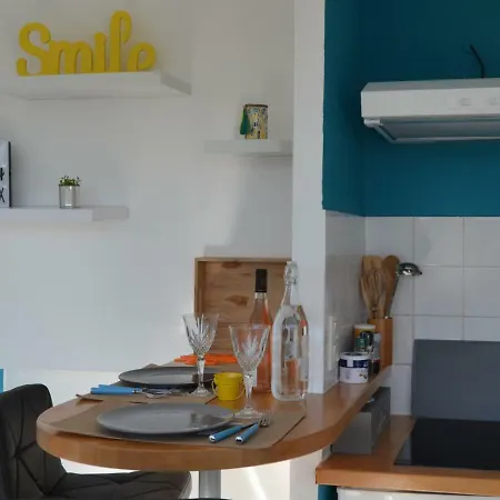 아파트 Le Petit Studieux - Parking - Animaux Acceptes - Centre Accessible A Pied 알비