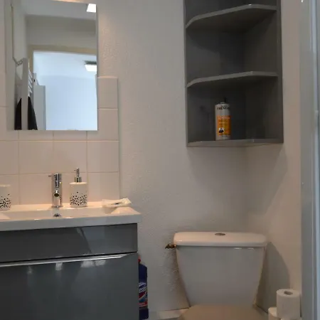 Apartment Le Petit Studieux - Parking - Animaux Acceptes - Centre Accessible A Pied Albi