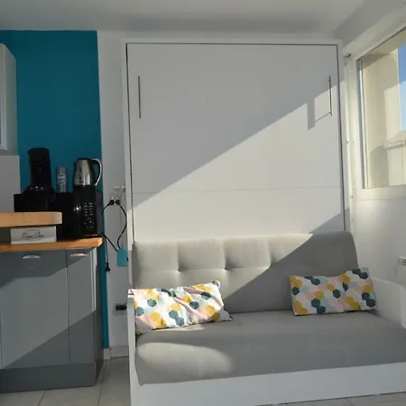 Le Petit Studieux - Parking - Animaux Acceptes - Centre Accessible A Pied * Albi