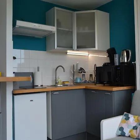 Apartment Le Petit Studieux - Parking - Animaux Acceptes - Centre Accessible A Pied *
