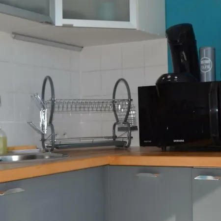 Le Petit Studieux - Parking - Animaux Acceptes - Centre Accessible A Pied * 알비