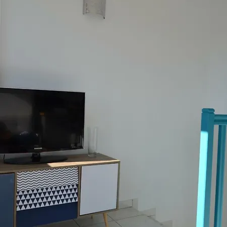 Le Petit Studieux - Parking - Animaux Acceptes - Centre Accessible A Pied 아파트 알비