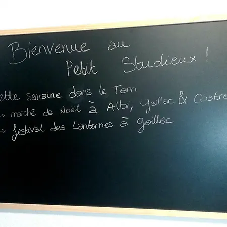 Apartment Le Petit Studieux - Parking - Animaux Acceptes - Centre Accessible A Pied Albi