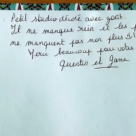 아파트 Le Petit Studieux - Parking - Animaux Acceptes - Centre Accessible A Pied