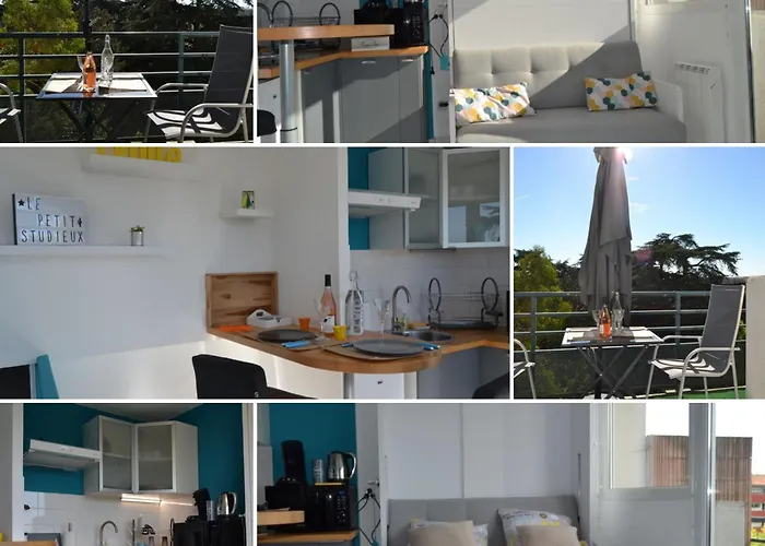 Le Petit Studieux - Parking - Animaux Acceptes - Centre Accessible A Pied アパート アルビ