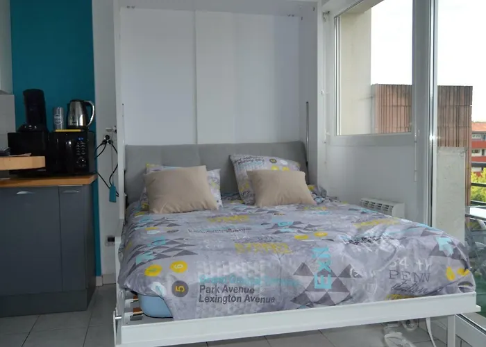 Le Petit Studieux - Parking - Animaux Acceptes - Centre Accessible A Pied アパート アルビ