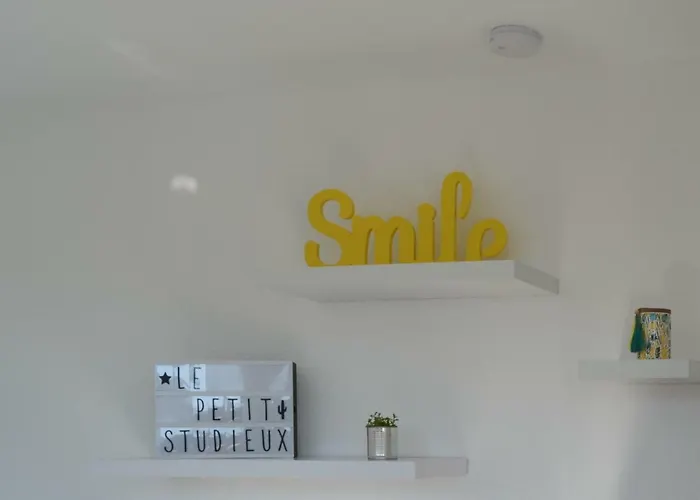 Le Petit Studieux - Parking - Animaux Acceptes - Centre Accessible A Pied