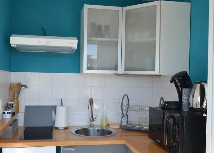 アパート Le Petit Studieux - Parking - Animaux Acceptes - Centre Accessible A Pied *