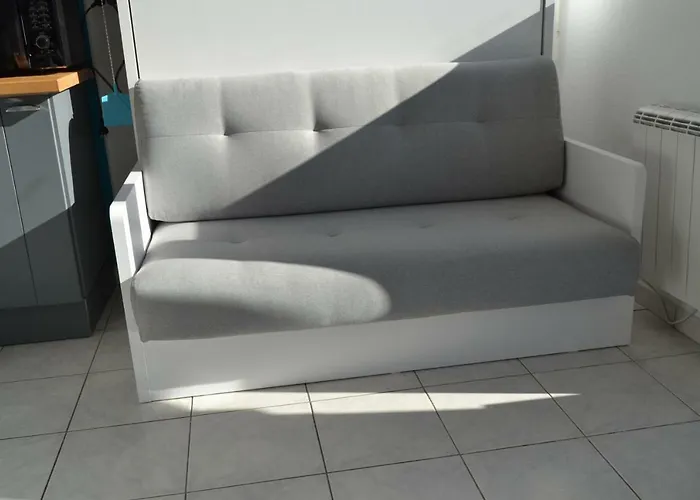 Le Petit Studieux - Parking - Animaux Acceptes - Centre Accessible A Pied * アルビ