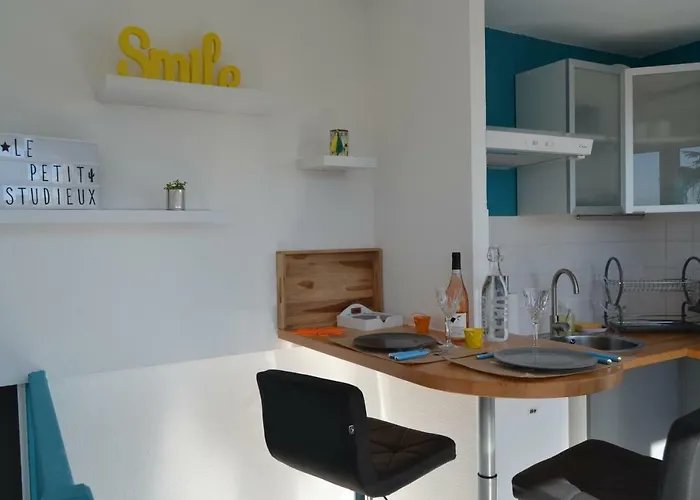 アパート Le Petit Studieux - Parking - Animaux Acceptes - Centre Accessible A Pied *