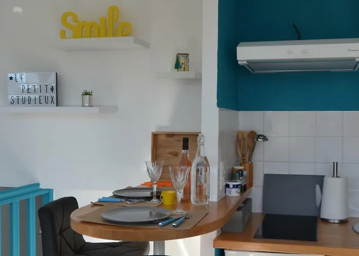 アパート Le Petit Studieux - Parking - Animaux Acceptes - Centre Accessible A Pied アルビ