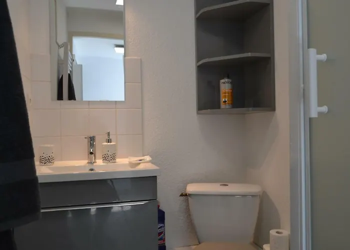 アパート Le Petit Studieux - Parking - Animaux Acceptes - Centre Accessible A Pied アルビ