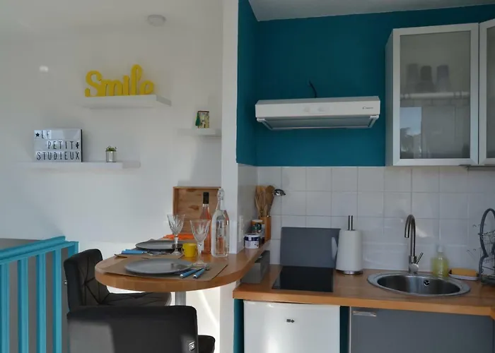 アパート Le Petit Studieux - Parking - Animaux Acceptes - Centre Accessible A Pied *