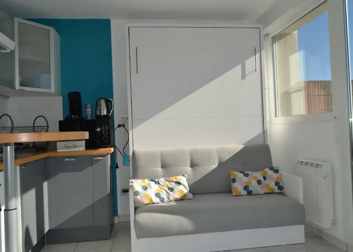 Le Petit Studieux - Parking - Animaux Acceptes - Centre Accessible A Pied * アルビ