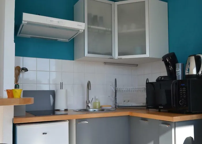 شقة Le Petit Studieux - Parking - Animaux Acceptes - Centre Accessible A Pied *