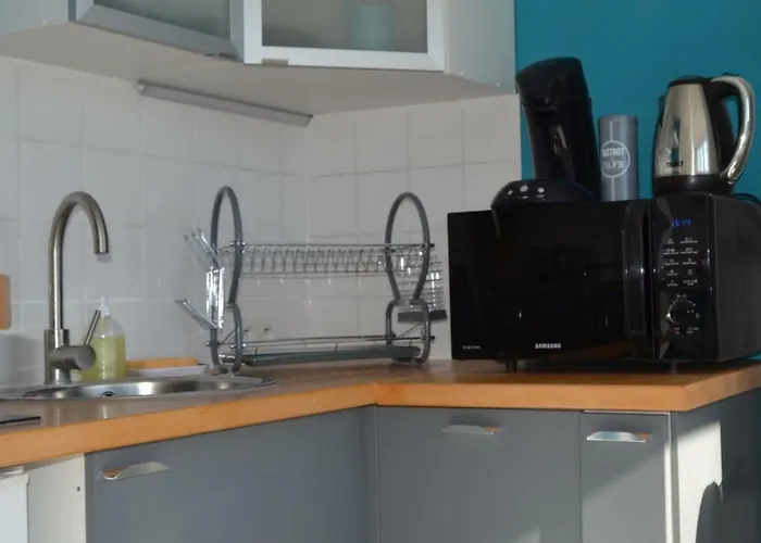 Le Petit Studieux - Parking - Animaux Acceptes - Centre Accessible A Pied * アルビ