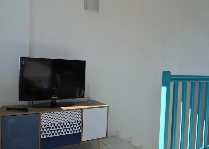 Le Petit Studieux - Parking - Animaux Acceptes - Centre Accessible A Pied アパート アルビ