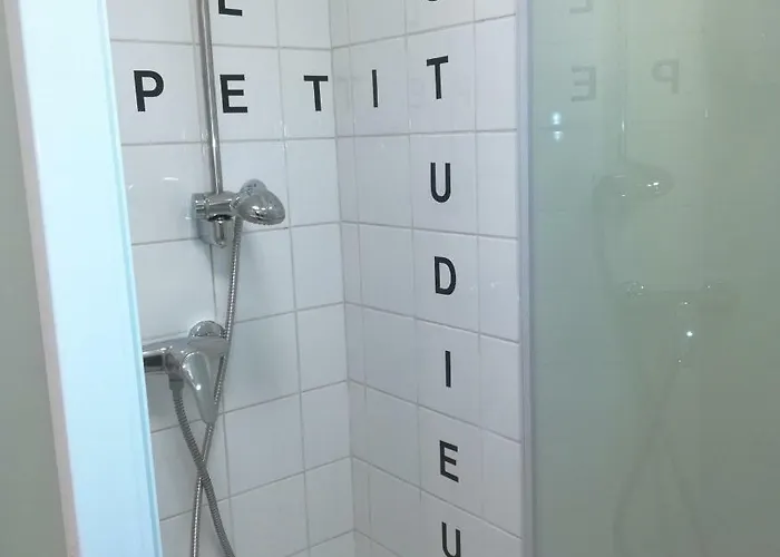 Le Petit Studieux - Parking - Animaux Acceptes - Centre Accessible A Pied アパート アルビ